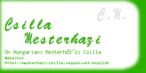 csilla mesterhazi business card